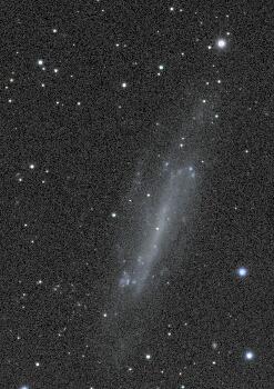 NGC4236_PGC39346, 2025-03-18, 18x200R 14x200G 10x200B 22x200L, APO100Q, (Red Green Blue Luminance), Toupcam cropped.jpg